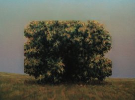 'Landscape with bush II (Dimensions of mass reduction)'